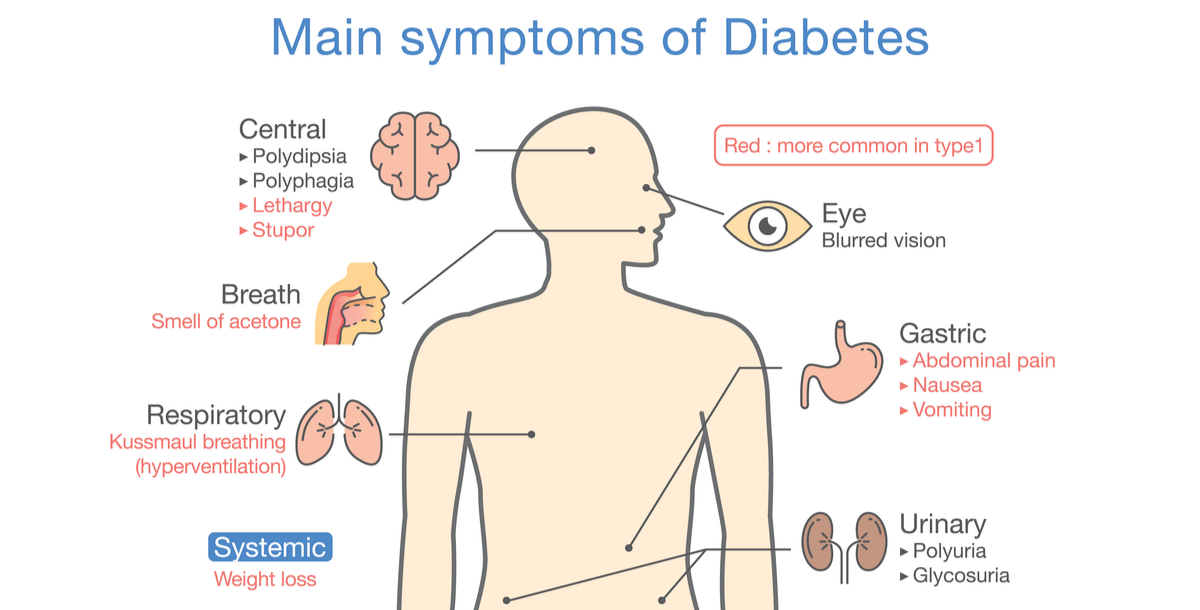 type-2-diabetes-symptoms-diagnosis-and-management